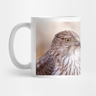 Cooper's hawk profile Mug